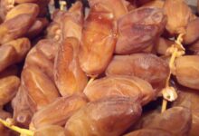 تونس تؤكد استمرار تصدير تمور قبلي إلى المغرب وتحذر من الأخبار المغلوطة