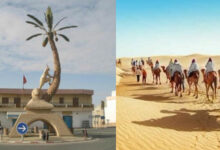 قبلي تسجّل إقبالًا سياحيًا قياسيًا خلال نوفمبر 2025