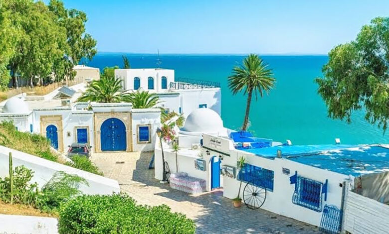 تقية: اختيار تونس عاصمةً للسياحة العربية تتويج للجهود المشتركة