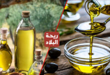 الزيت الزيتون