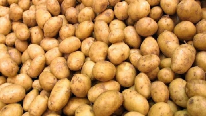 بطاطا