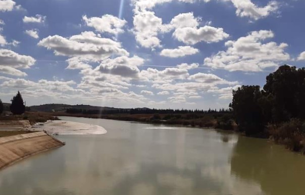 منوبة: ارتفاع نسبة امتلاء البحيرات الجبلية إلى 45%