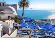 شركة يابانية تدرج تونس ضمن برامجها السياحية