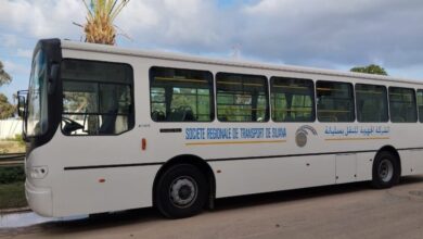 نابل: استئناف سفرات بعض الخطوط