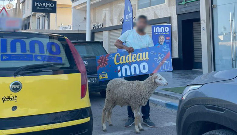 inno mouton
