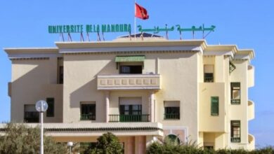 جامعة منوبة