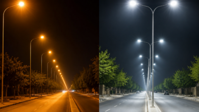 بلدية العين تخفض فاتورة الإنارة بـ250 ألف دينار سنويًا عبر التحول إلى LED